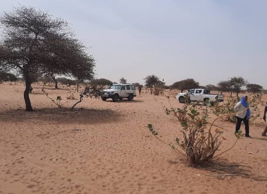 Actualisation des études économiques, hydraulique, géotechnique des routes au Tchad. Client : Fonds d’entretien routier avec la supervision de AGER