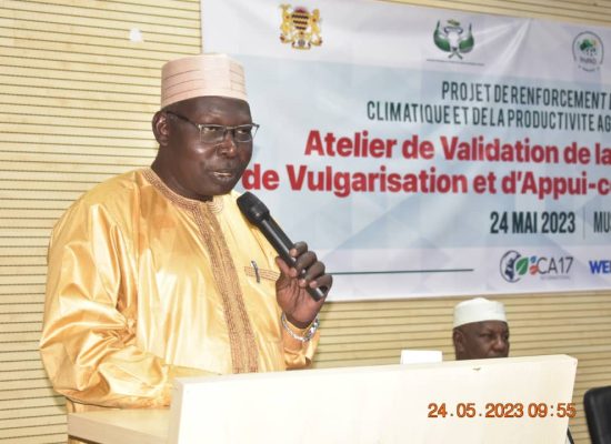 Atelier de Validation de la stratégie Nationale de Vulgarisation et d'Appui-conseil Agricole du Tchad